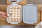 Egg Tray Egg Holder Egg Container 24 Grid Eggs Box Plastic,Pattern,C